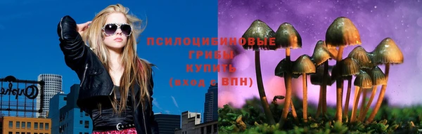 мдпв Верея