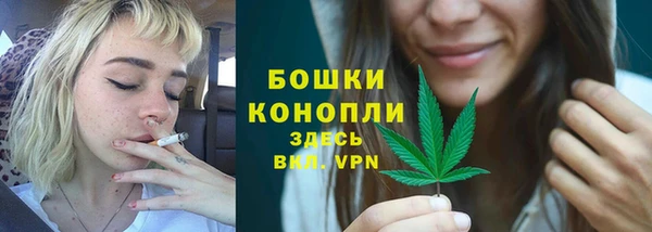 мдпв Верея