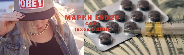 ECSTASY Богданович