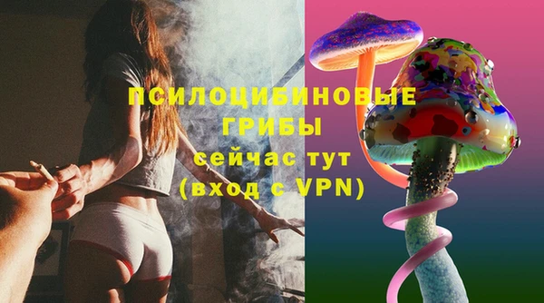 мдпв Верея