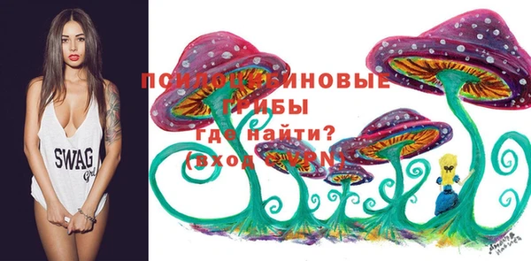 крисы Бородино