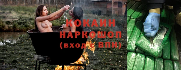 мдпв Верея