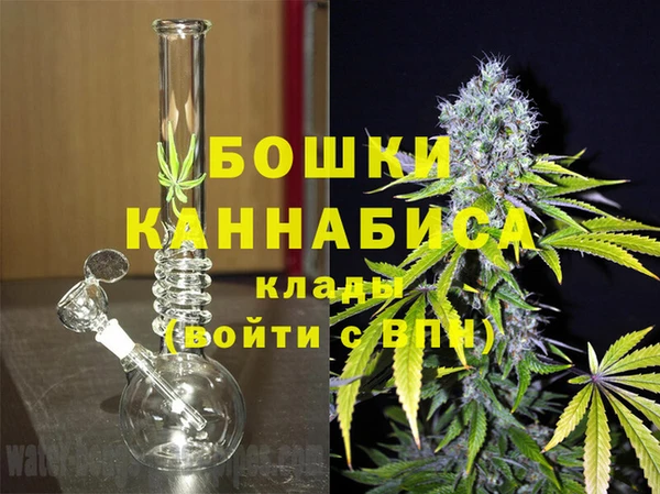 крисы Бородино