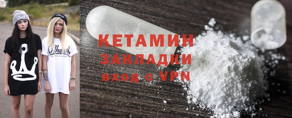 крисы Бородино