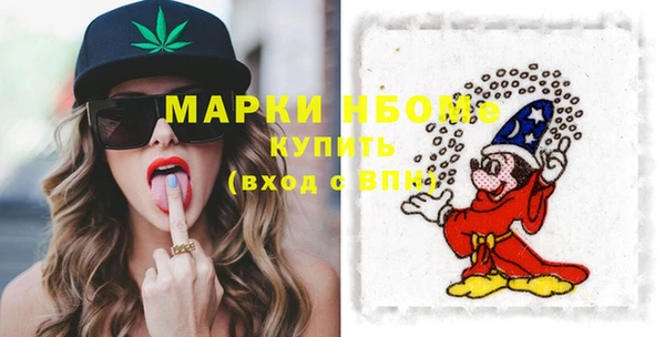 крисы Бородино