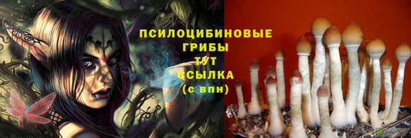 не бодяженный Беломорск