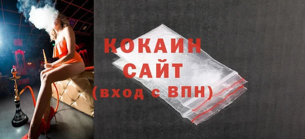 крисы Бородино
